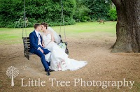 Little Tree Wedding Photography 1093078 Image 8